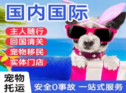 乌兰察布集宁航空快递国际宠物托运 【国